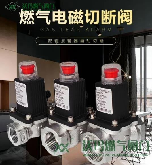 簡單說說燃?xì)怆姶砰y的保養(yǎng)與維護方式